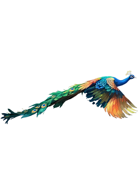 peacock